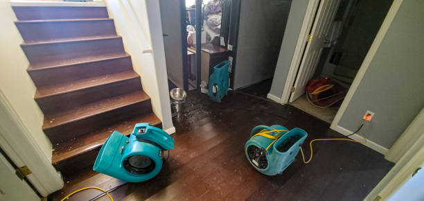 Best Water damage cleanup near me  in Hampton Beach, NH