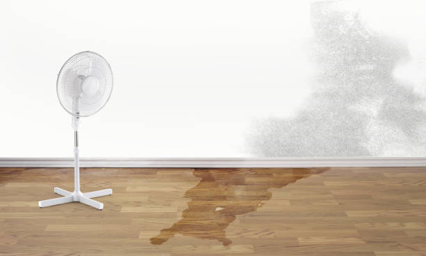 Best Water damage contractors near me  in Hampton Beach, NH